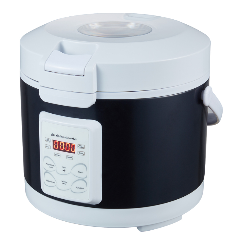 Arier 12v 24v 220v mini panela - Camping Cooking Menu avaliação e preço